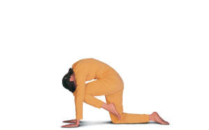 Vyaghrasana-03-1600